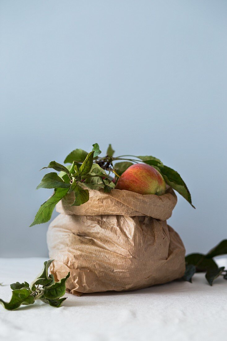 Bio-Äpfel mit Blättern in einer Papiertüte