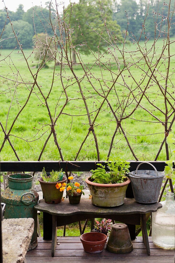 Vintage planters on bench in front of green summer meadow