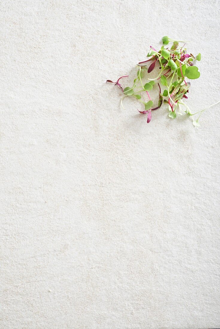 Bean sprouts on a white surface