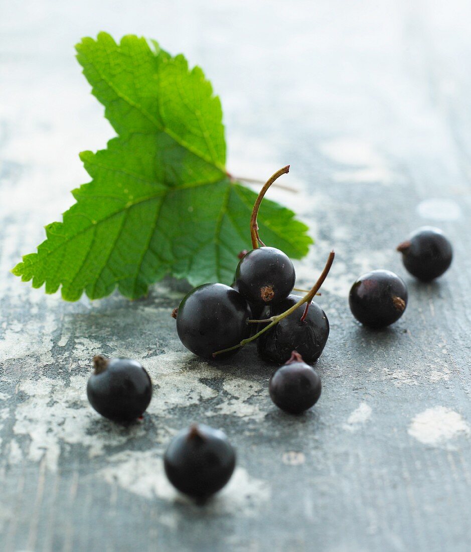 Blackcurrants with leaves (close-up)