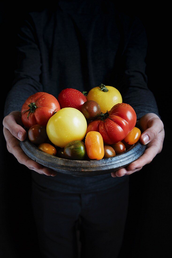 Hände halten Tomaten in einer Schüssel