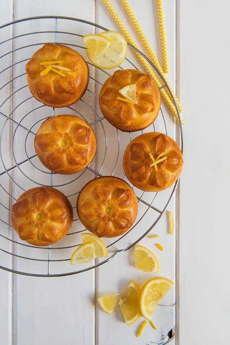 Kleine Zitronenkuchen auf Abkühlgitter