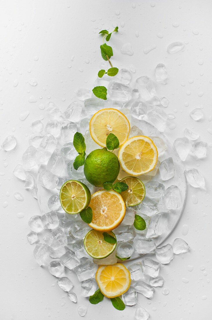 Limes, lemons and mint with ice cubes