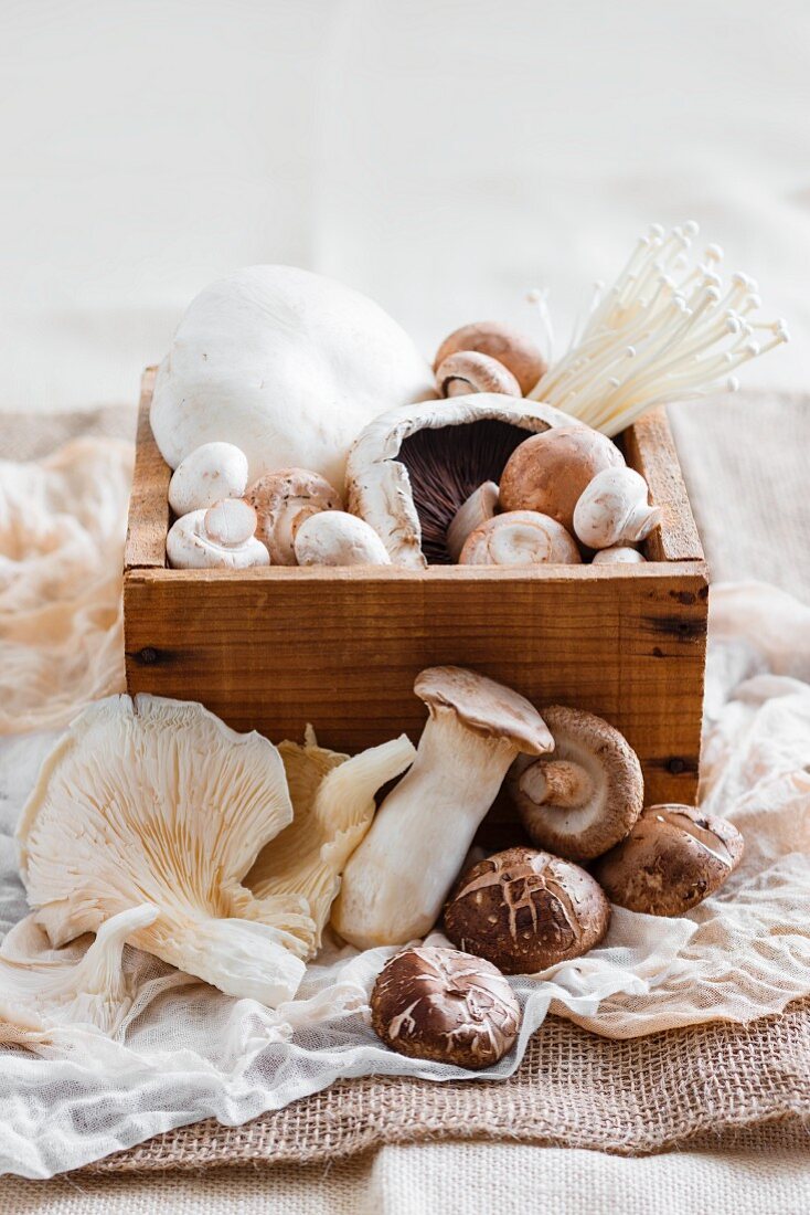Fresh mushrooms in and in front of a wooden box
