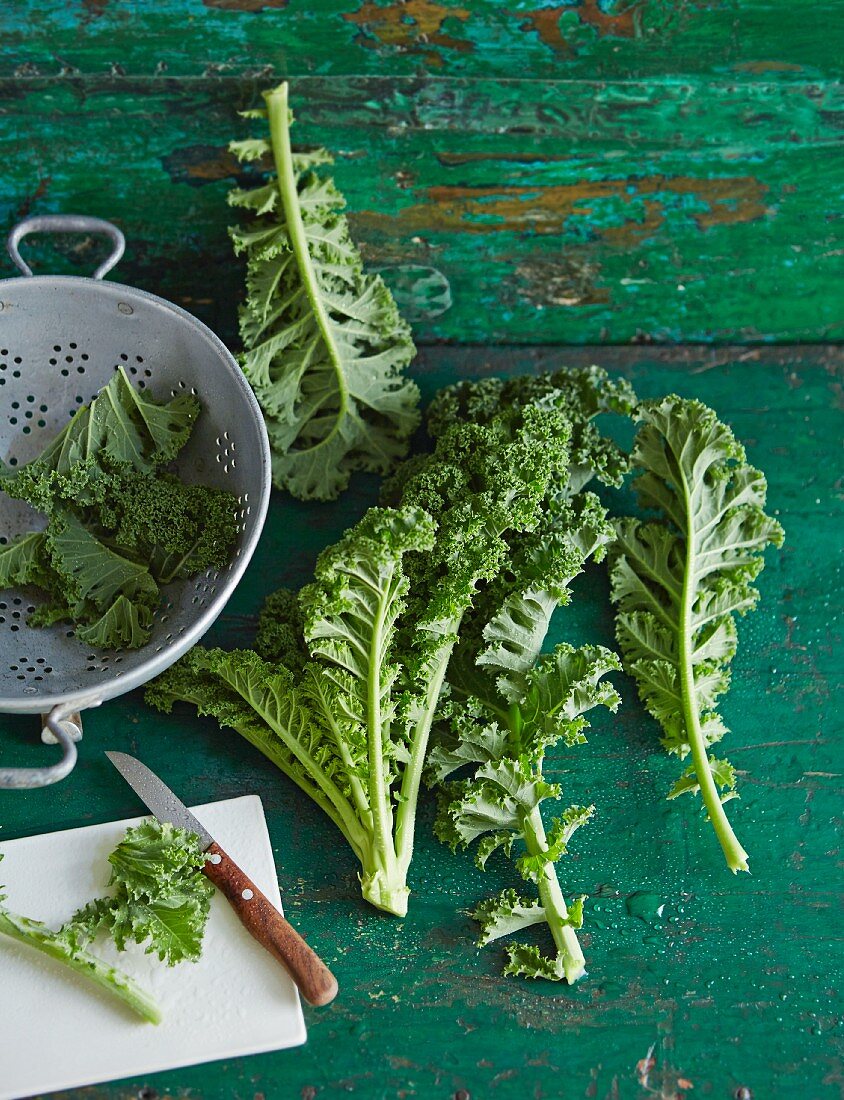 Fresh green kale with a colander and a knife