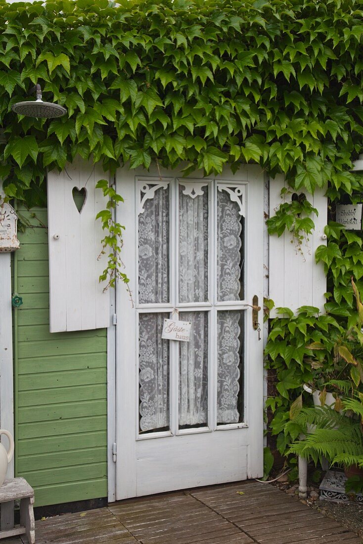 Tür mit Spitzenvorhang hinter Glasfüllung eines Holzhäuschen und berankte Holzfassade