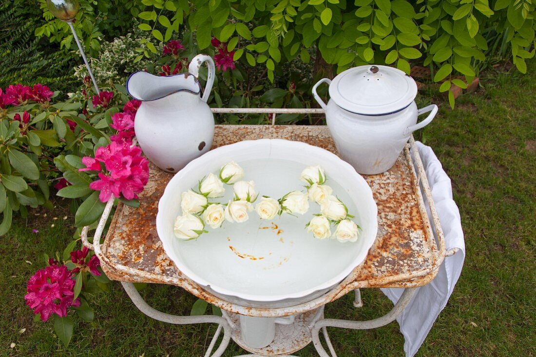 White roses floating in wash basin on rusty metal stand in garden