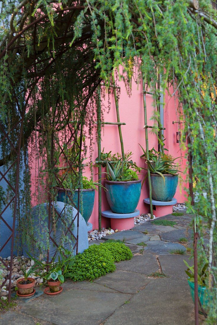 Mediterraner Innenhof, blaue Pflanzgefässe auf Konsolen an rosa getünchter Sichtschutzmauer