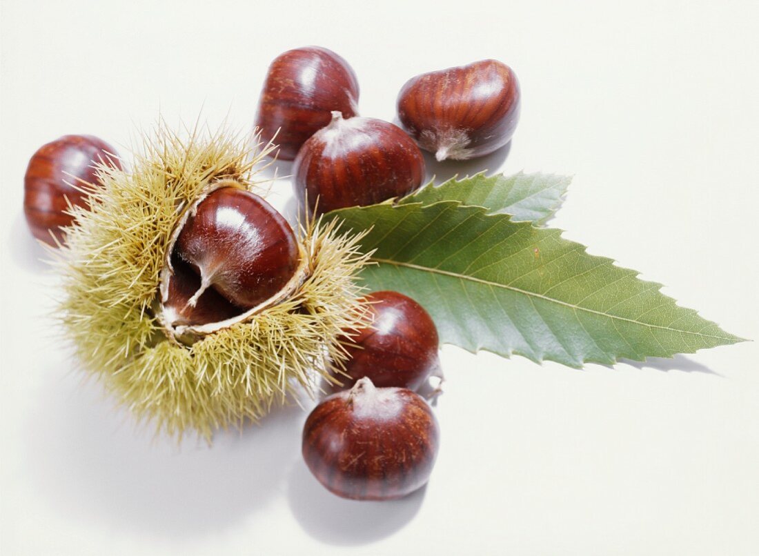Sweet chestnuts, one in it shell, and two leaves