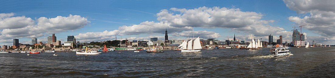 Hamburg's skyline: view from 'The Lion King' to the large parade of traditional Hamburg ships
