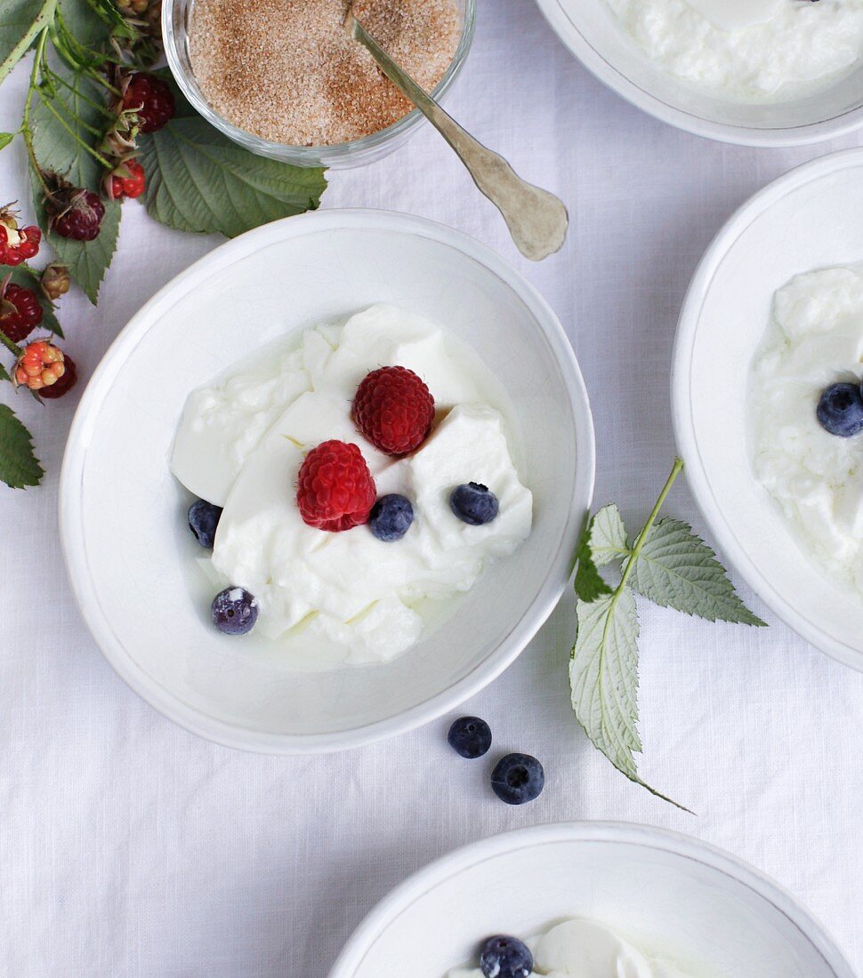 Hausgemachte Dickmilch mit Zimt und Zucker