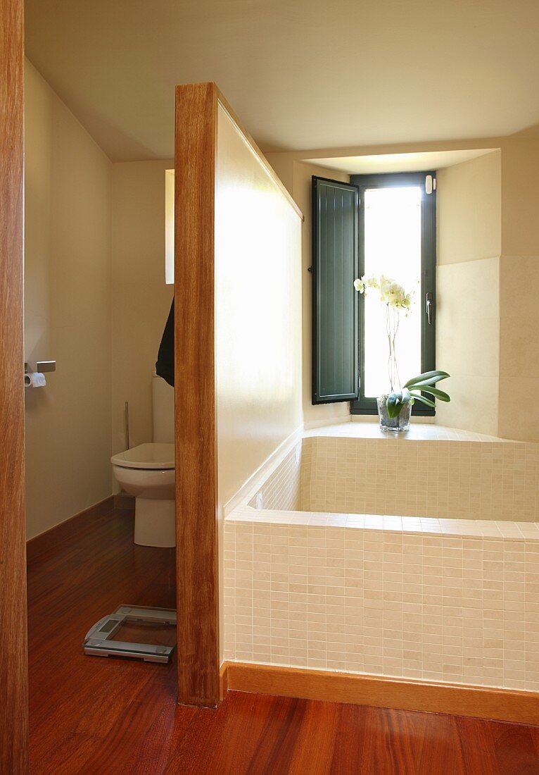 Bathtub below window with partition screening toilet