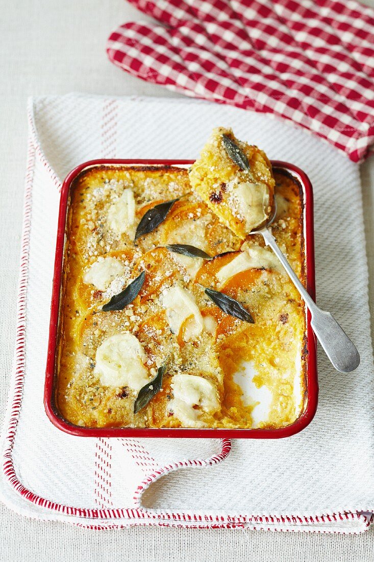 Butternut squash and goat's cheese bake with sage