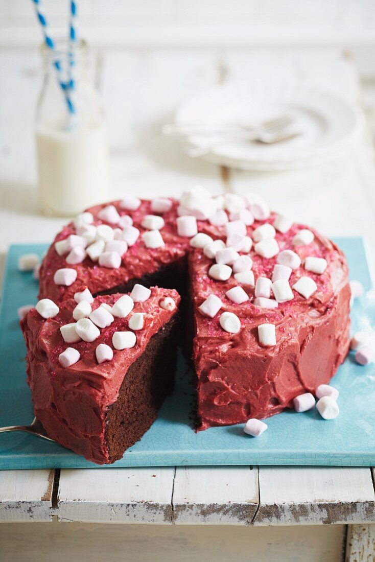 Chocolate cake with pink icing and mini marshmallows