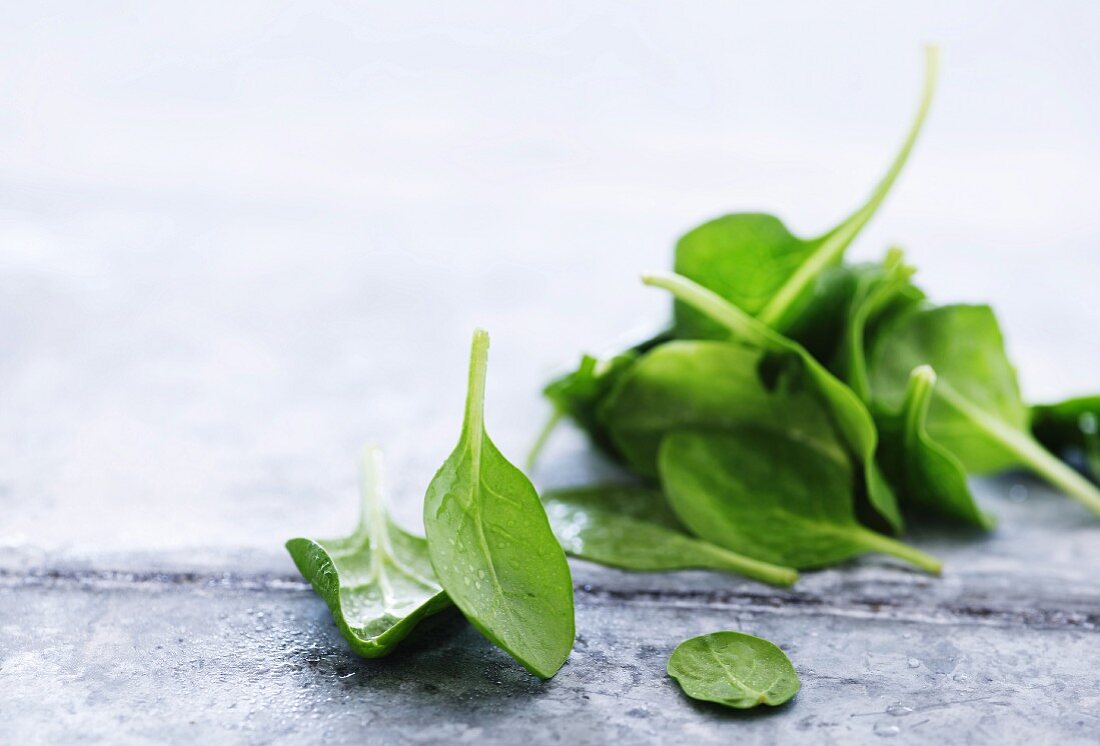 Baby spinach on a metal surface