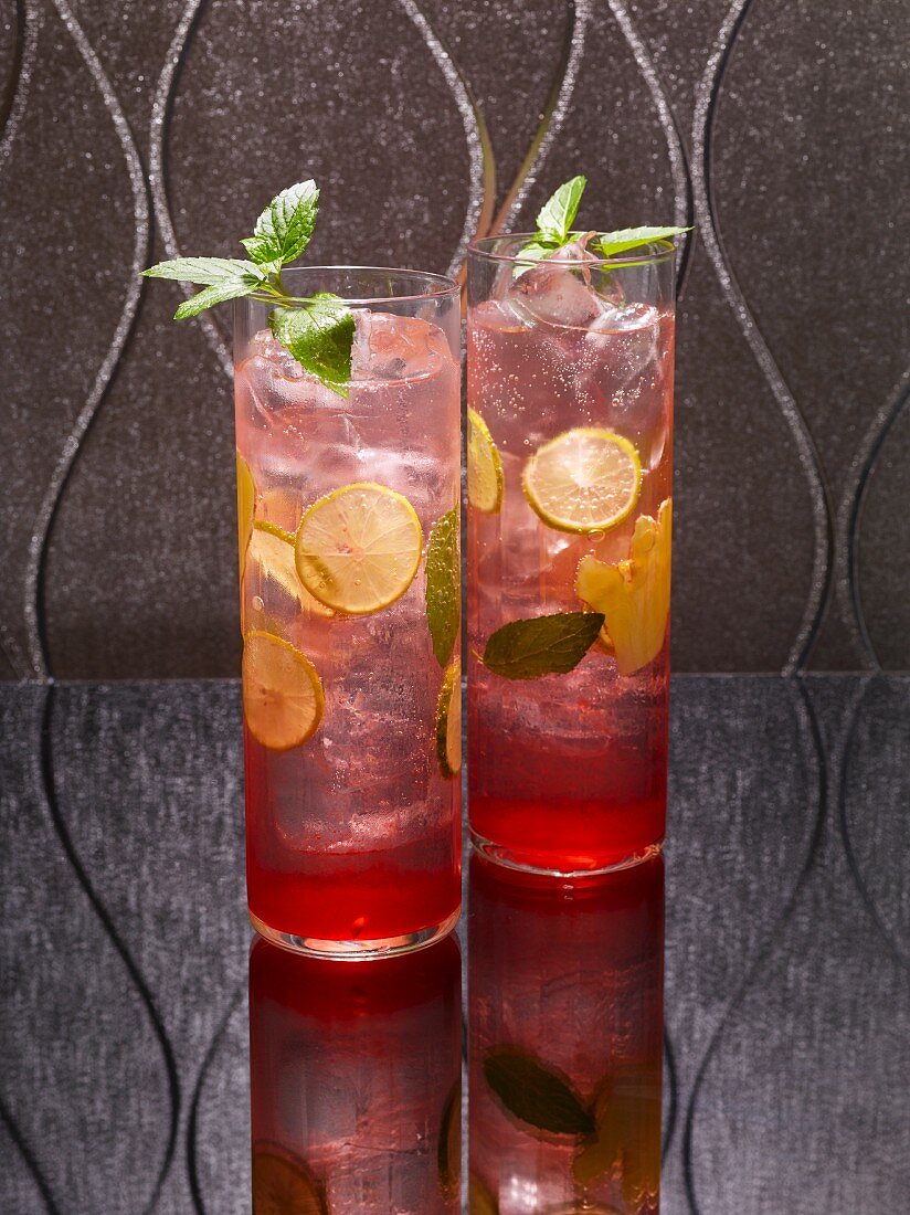 Two cocktails made with vodka, mint and citrus fruits on a reflective surface