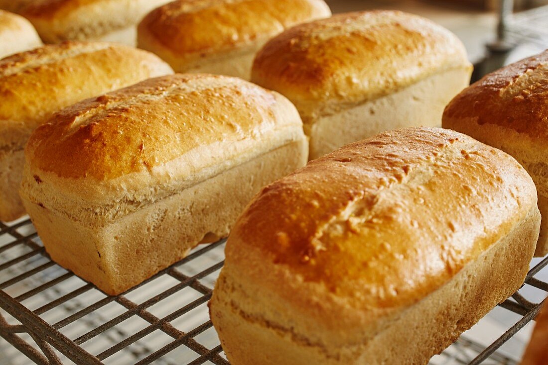 Salt bread (traditional bread from north-eastern USA)