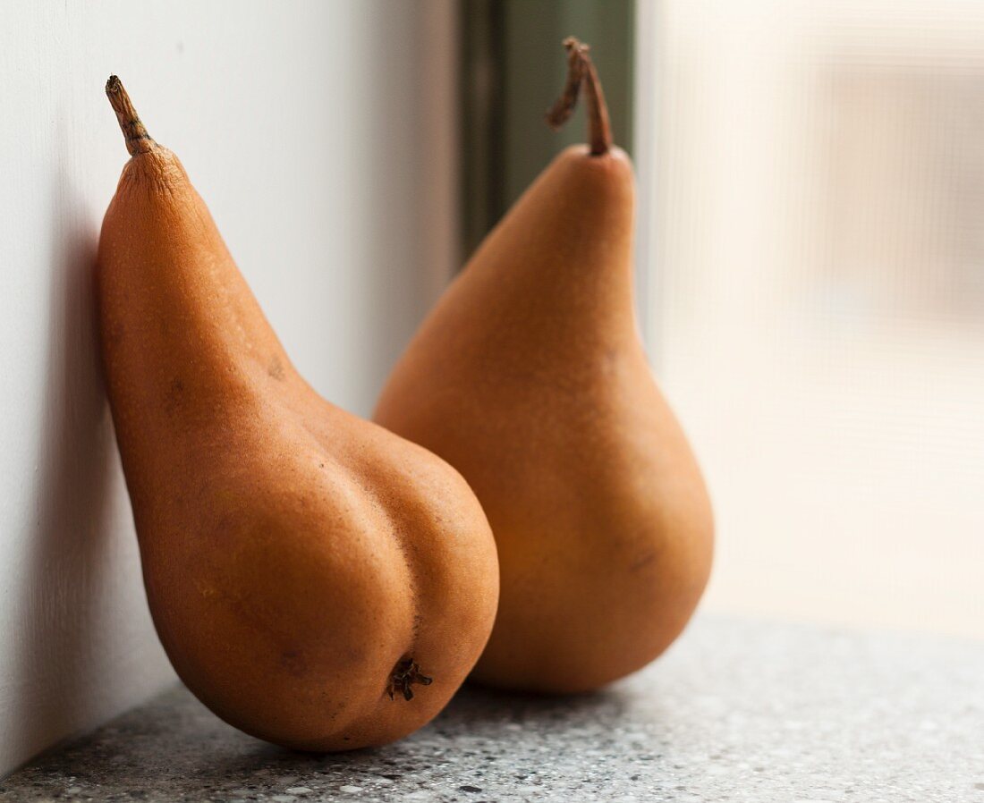 Two pears on a wall