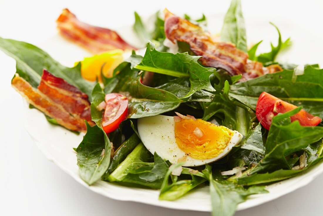 Dandelion leaf salad with tomatoes, hard-boiled eggs and fried bacon