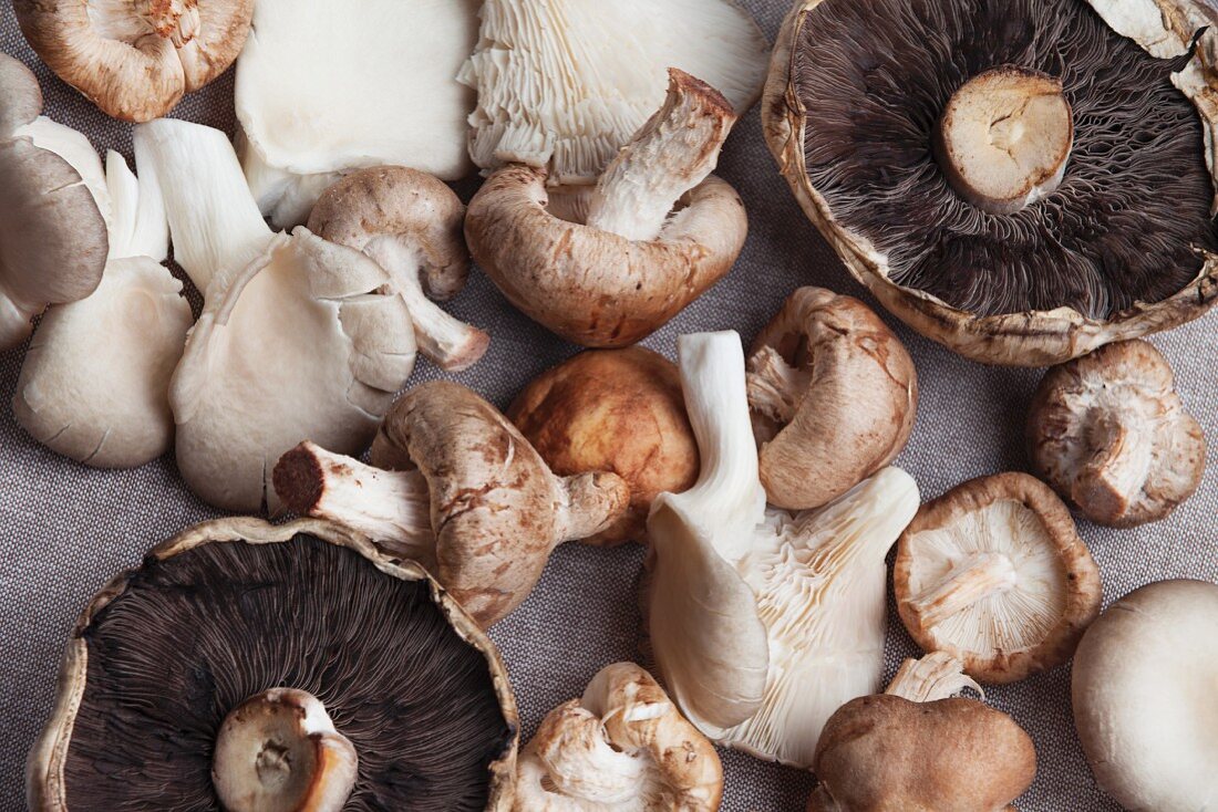Various mushrooms on a linen table cloth