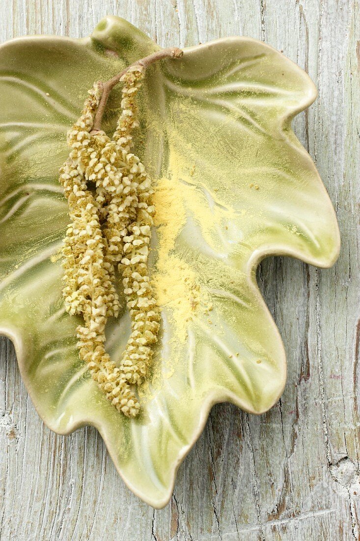 Hazelnut flowers with pollen in a leaf-shaped dish