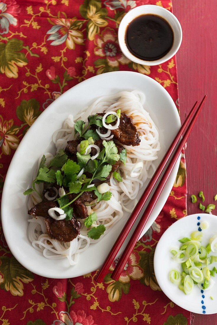 Teriyaki duck with rice noodles, spring onions and coriander