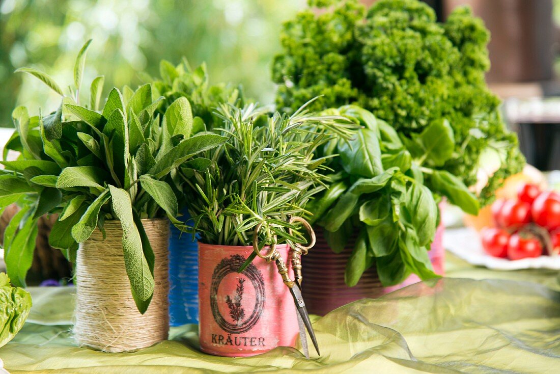 Kitchen herbs in tin cans covered in coloured paper or string