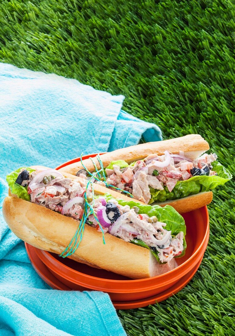 Zwei Thunfisch-Sandwiches in einer Plastikdose zum Picknick