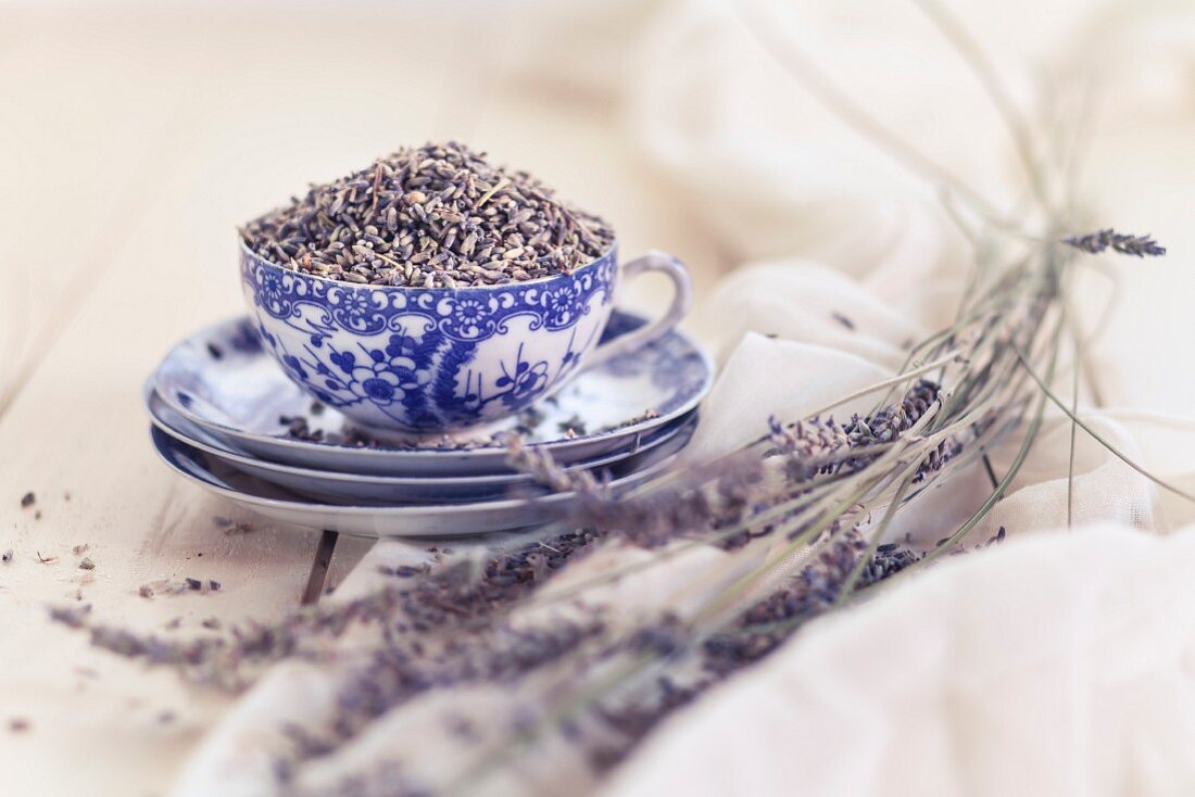 Lavendelblüten in einer Teetasse