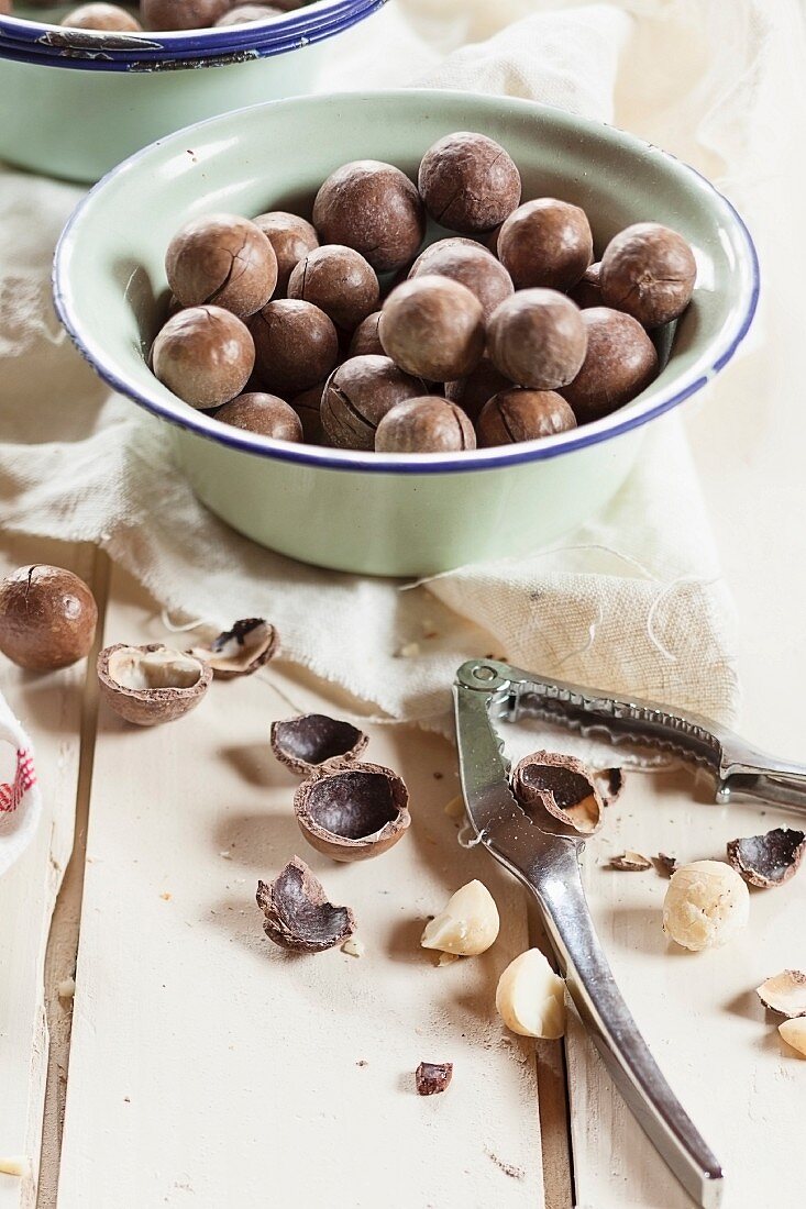 Roasted, salted macadamia nuts in shells with a nutcracker