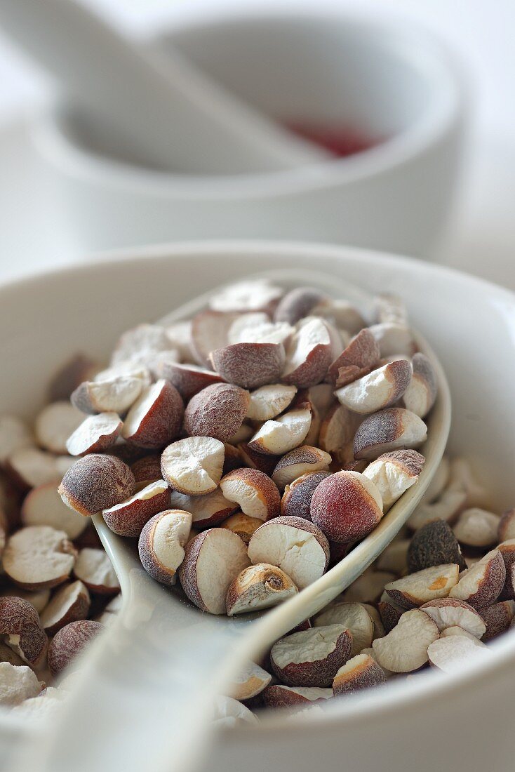 Foxnut seeds in a porcelain bowl
