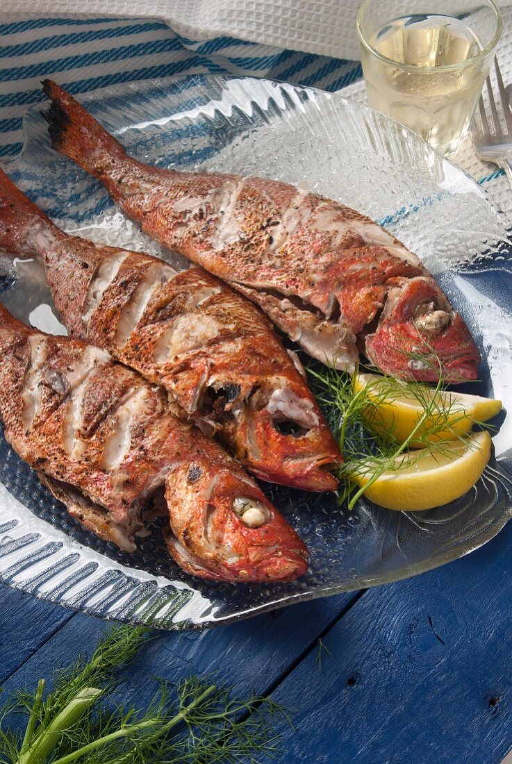 Grilled red snapper with a glass of white wine