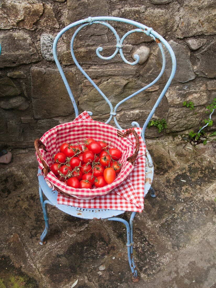 A basket of tomatoes on a pastal-blue patio chair