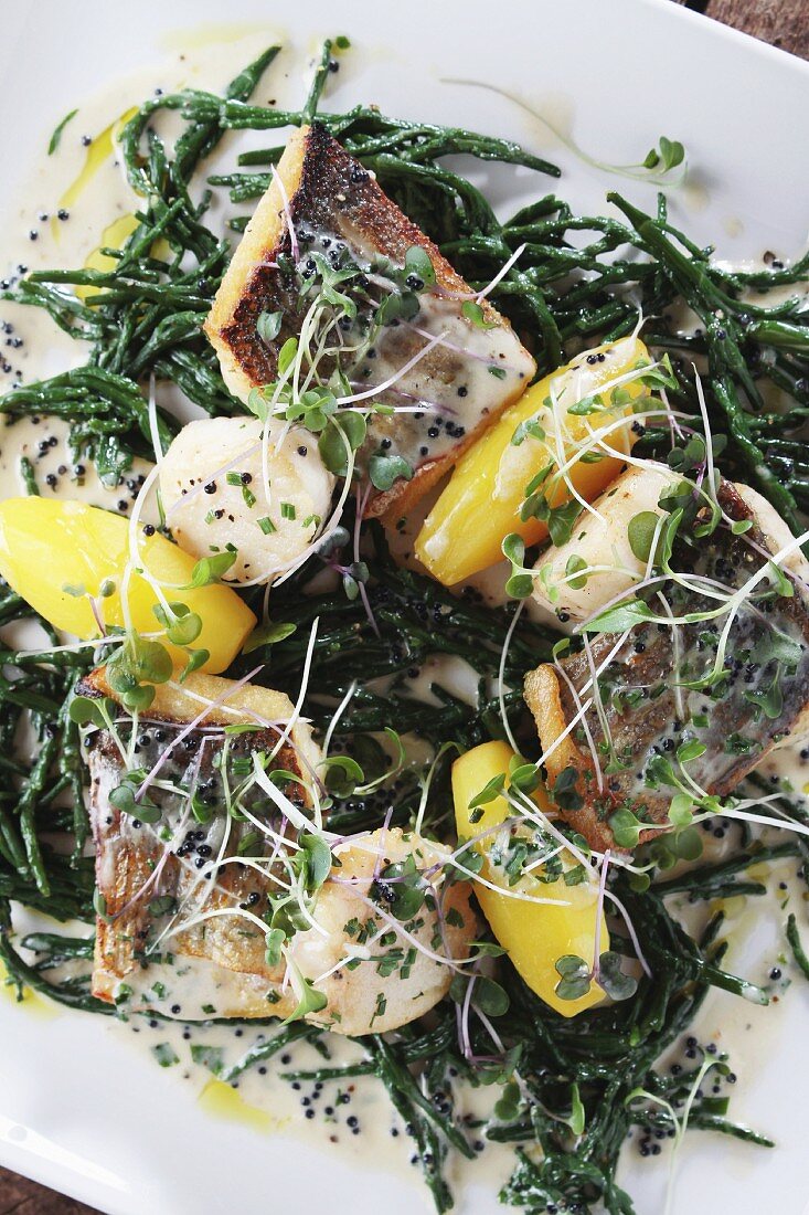 Seabass with scallops and samphire