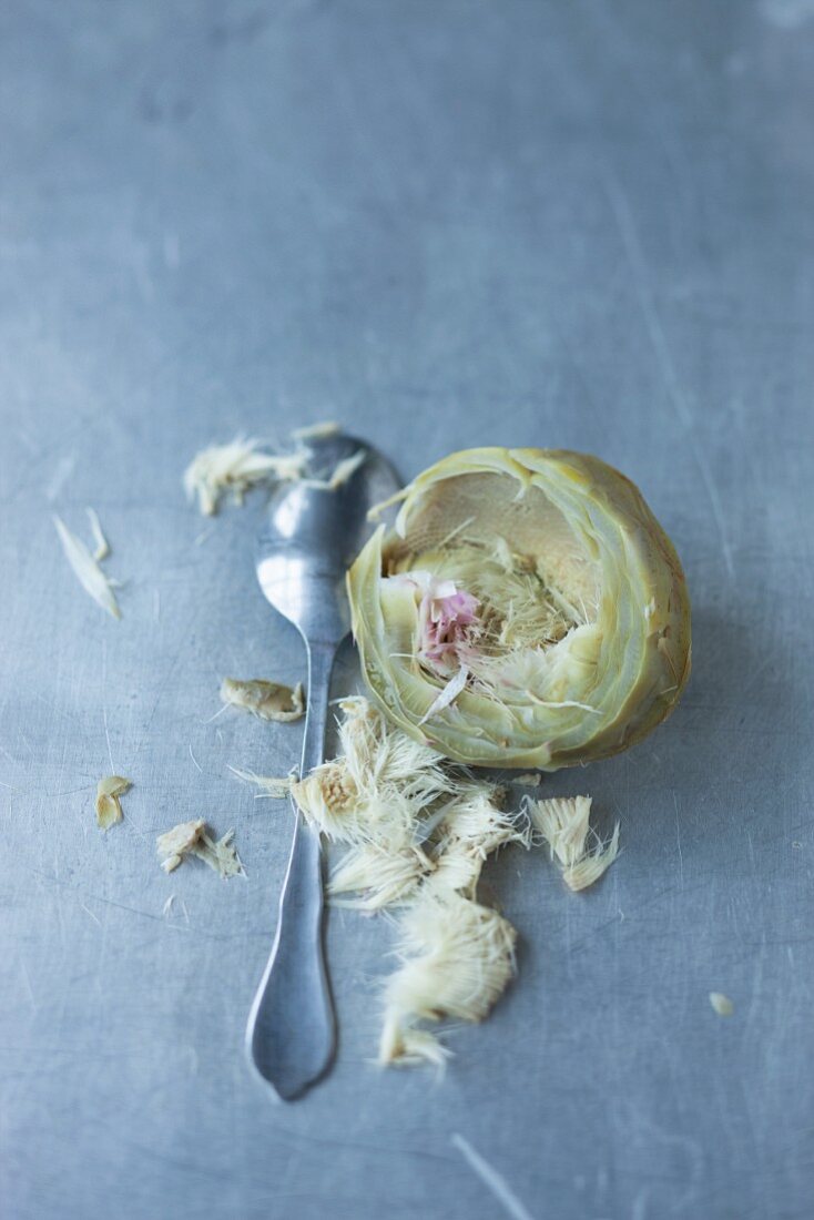 The choke being removed from a cooked artichoke
