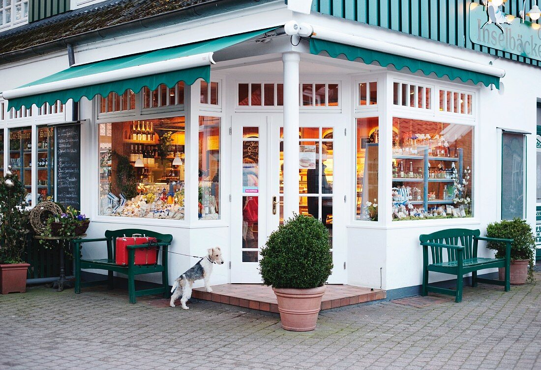 Meike Winnemuth's dog, Fiete, waiting for her outside the bakery on the island of Spiekeroog