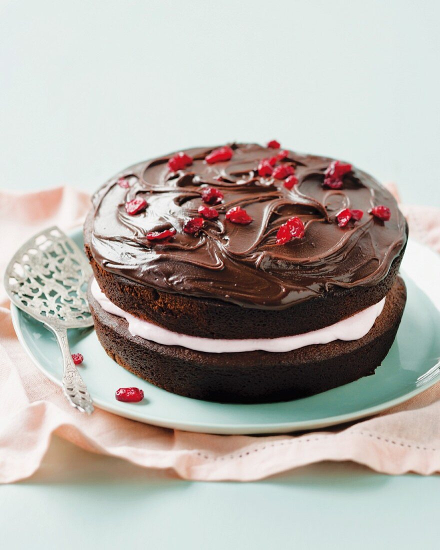 Schokoladen-Cranberry-Kuchen mit Marshmallowfüllung