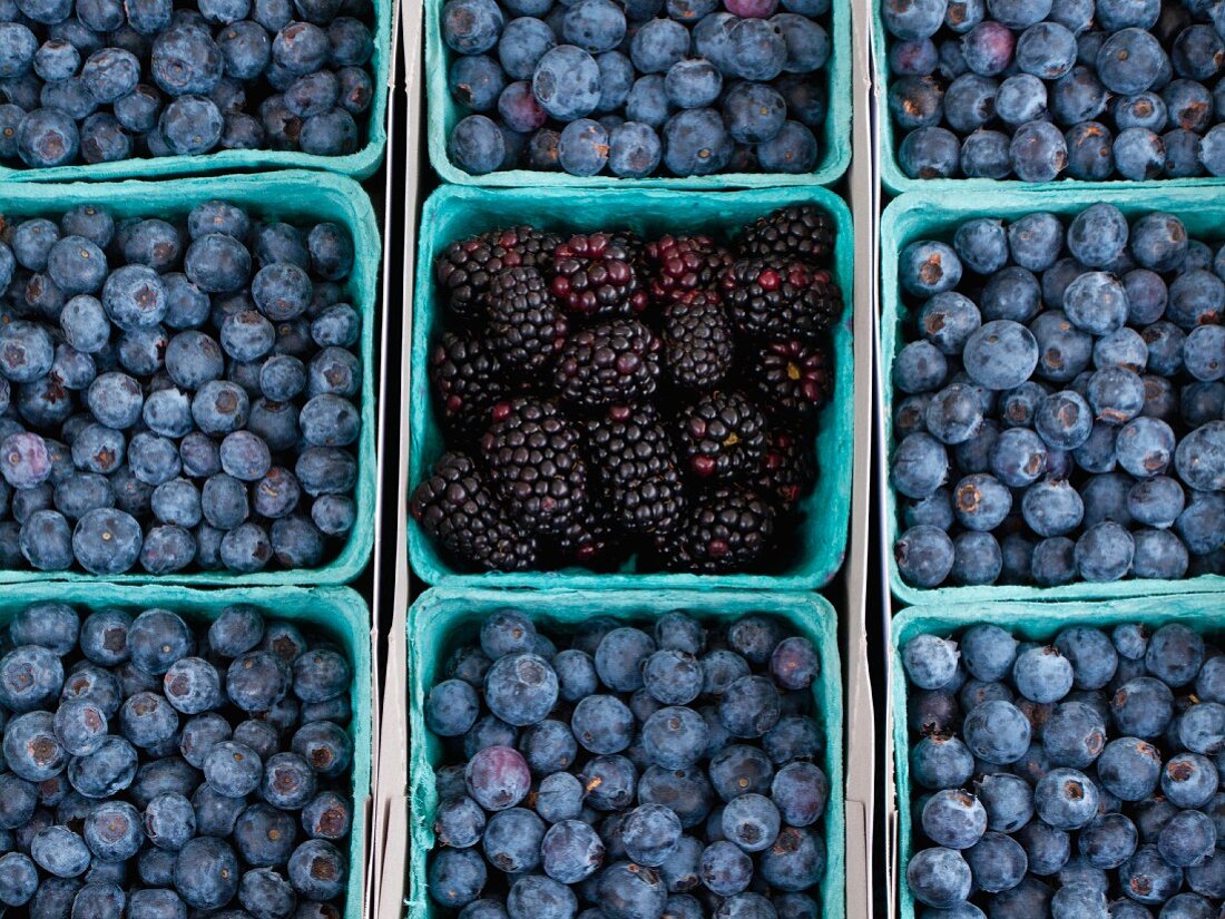 Blueberries and blackberries at a farmers market