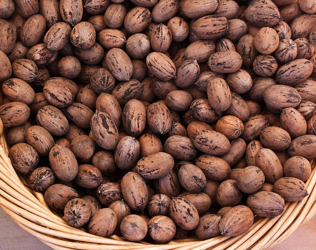 Unshelled pecan nuts in a basket