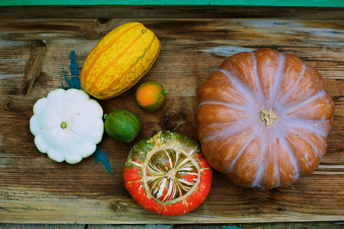 Various types of squash (seen from above)