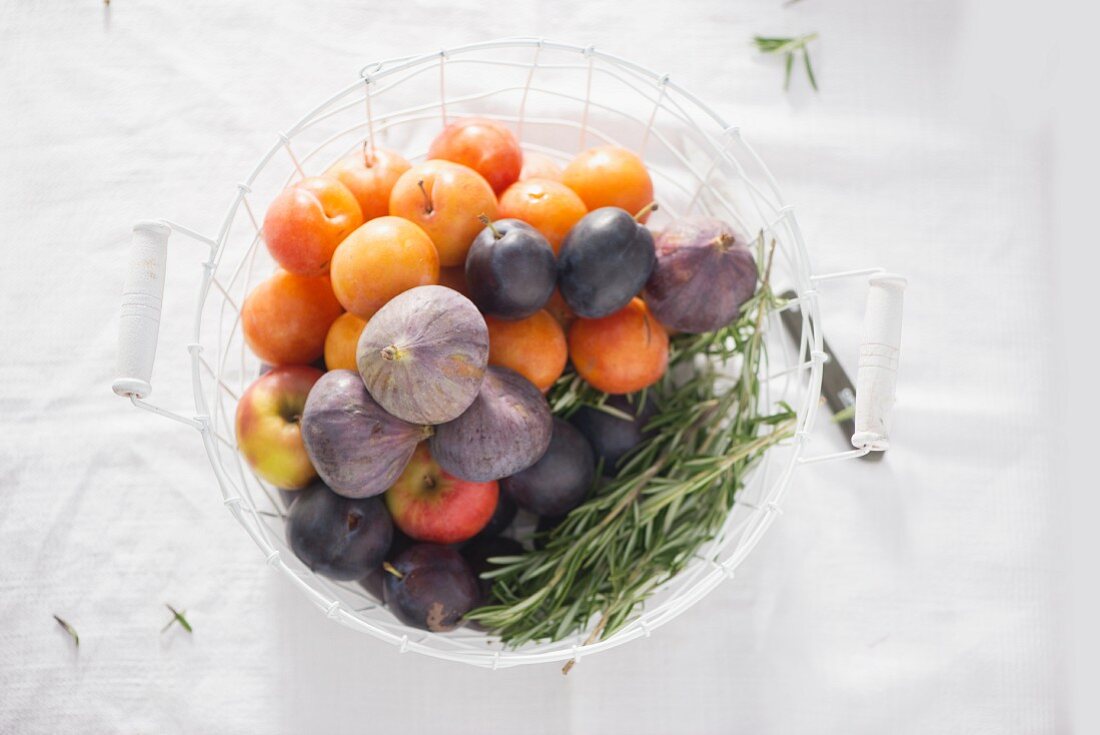 Plums and figs with rosemary in a wire basket