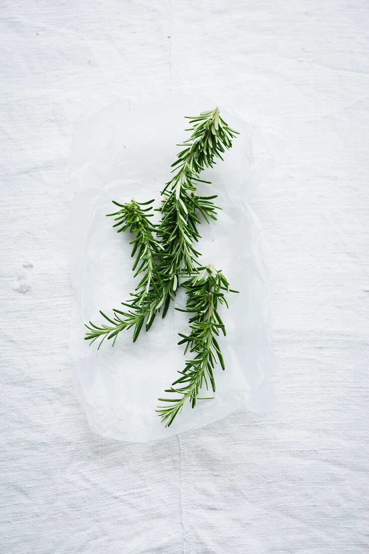 Sprigs of rosemary on white paper