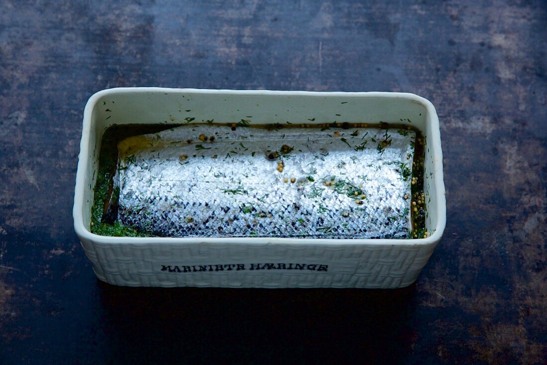 Herstellung von Graved Lachs: Rohe Lachsseite mit Gewürzen und Dill in viereckiger Form