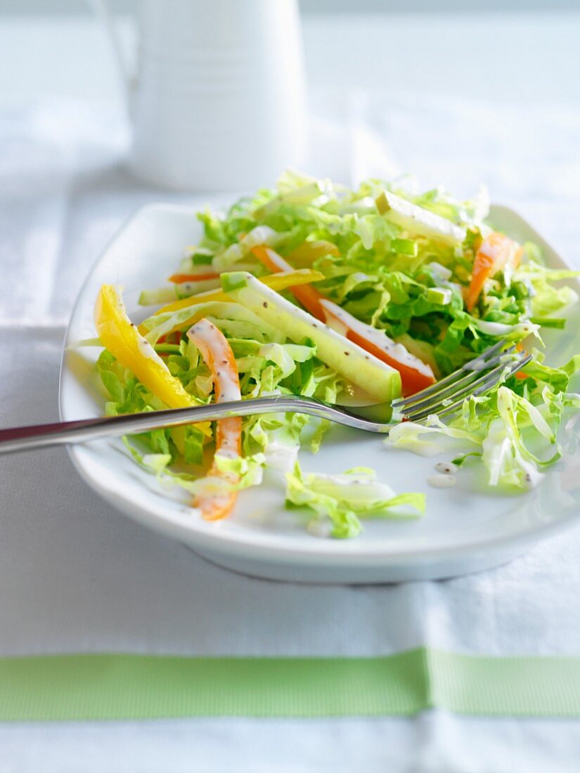 Salad with peppers and Grannny Smith apples