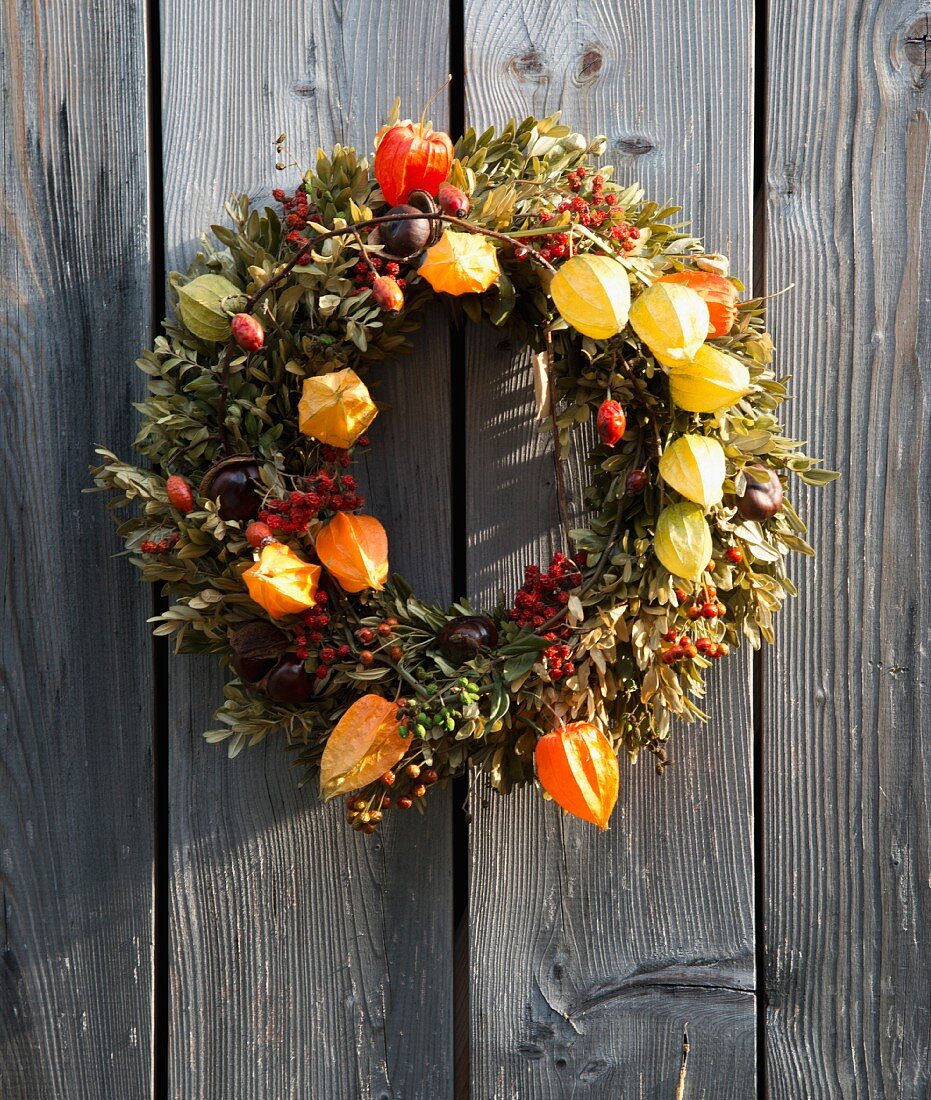 Wreath of berries and Chinese lantern seed pods hanging on wooden wall