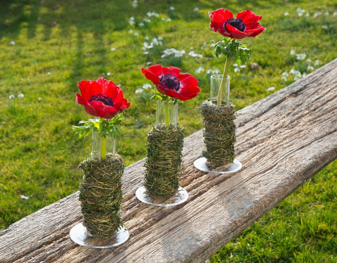 Row of anemones in cylindrical glass vases wrapped in herbs on wooden board