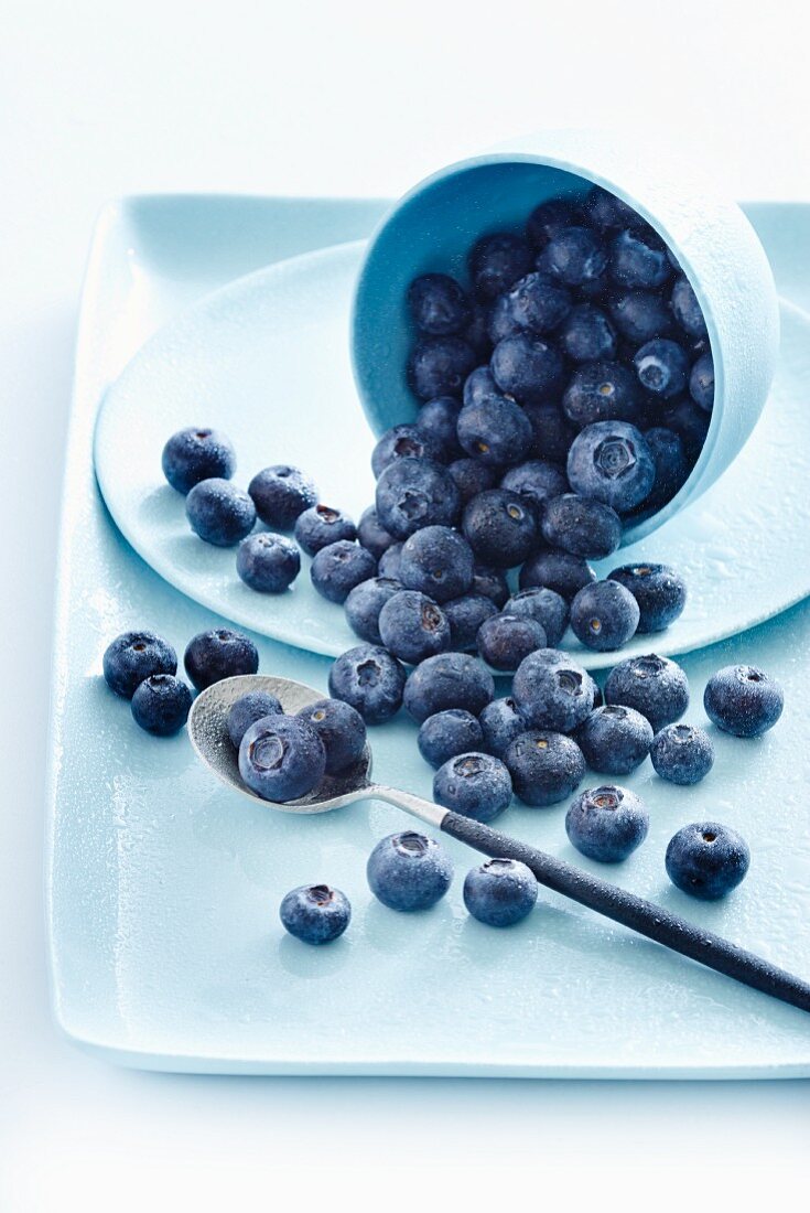 Fresh blueberries in an overturned bowl and on a spoon