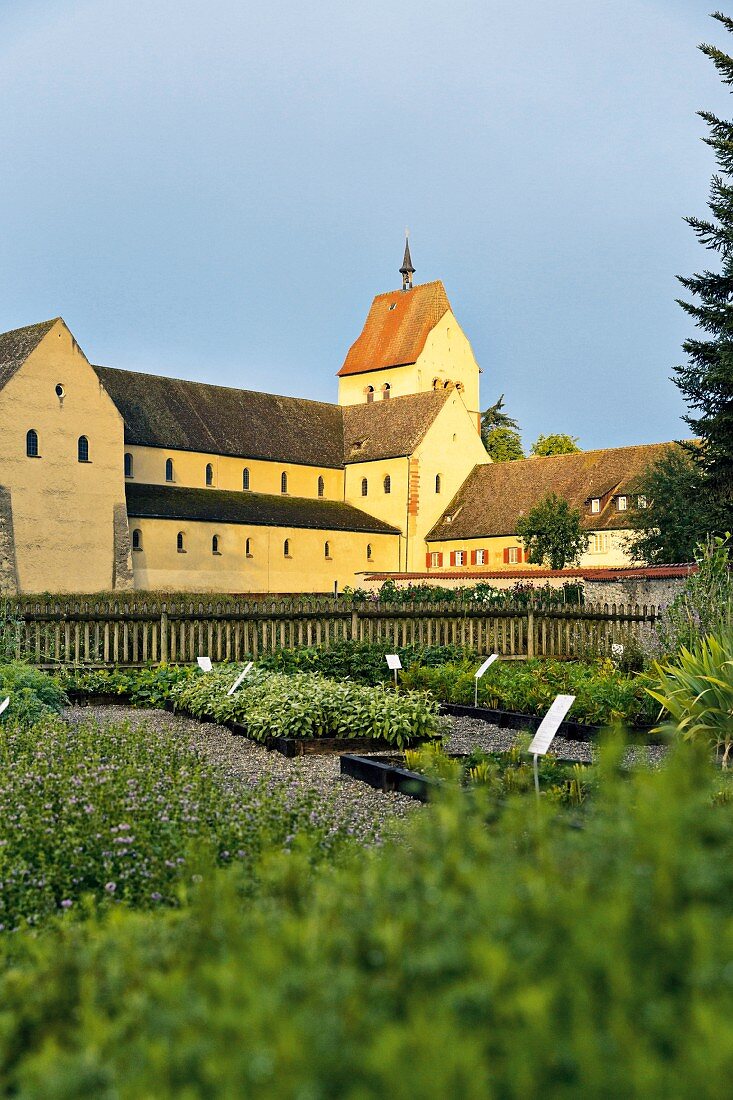 The herb garden at the Minster, Reichenau, Lake Constance