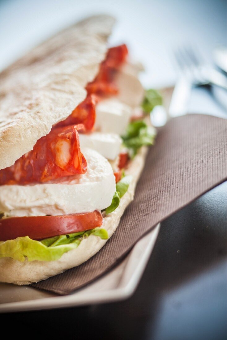 A sandwich with tomato, mozzarella and spicy salami