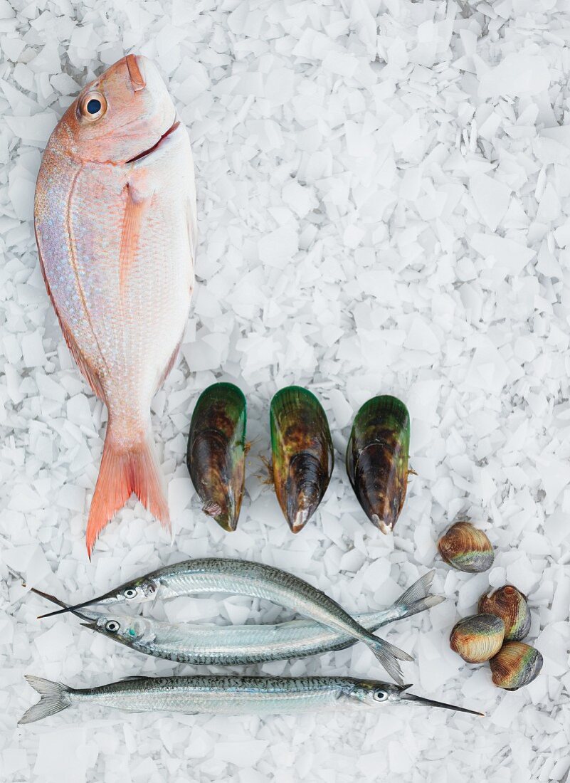 An arrangement of fish and mussels on ice